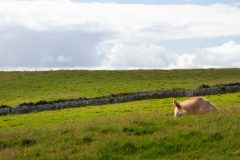 Irland2018-243.jpg