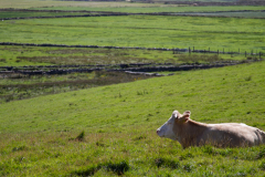 Irland2018-251.jpg